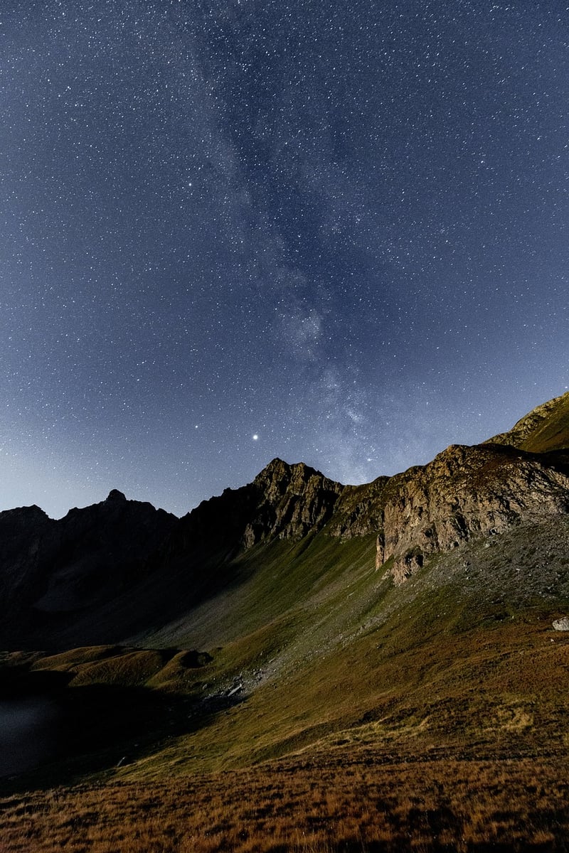 Milky Way Starlight